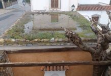 Fondón reforma los dos edificios públicos más antiguos de ‘La Era’ Terrado de una de las infraestructuras.