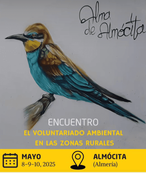 Cartel del evento.