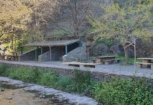 Más de 20 pueblos del Andarax se benefician del Plan Savia de reforestación