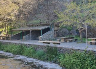 Más de 20 pueblos del Andarax se benefician del Plan Savia de reforestación