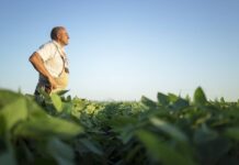 Los regantes de Fondón alertan de impagos generalizados en el uso de las acequias