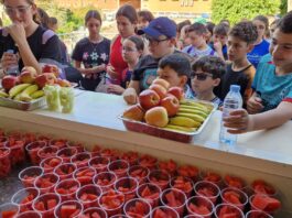 Actividades de la semana saludable.