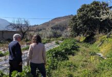 Almócita, territorio vivo de investigación y agrobiodiversidad