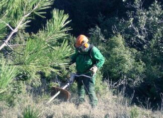 La sierra de Gádor suma 520 hectáreas de nuevas áreas cortafuegos para prevenir incendios