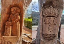 Los álamos de Paterna del Río renacen gracias al arte de la madera
