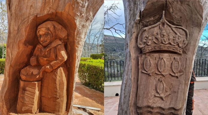 Los álamos de Paterna del Río renacen gracias al arte de la madera