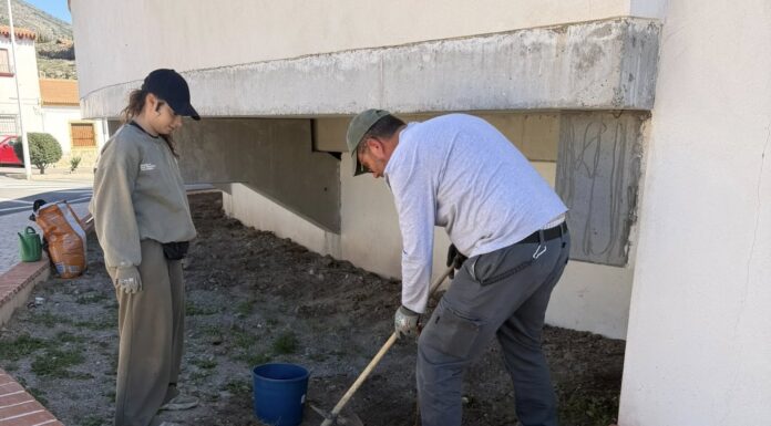 Laujar impulsa un rescate agrícola histórico para recuperar 18 variedades autóctonas de uva