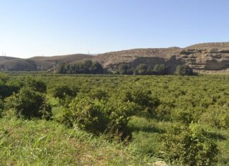Los agricultores tendrán más flexibilidad para organizar sus cultivos tras las lluvias
