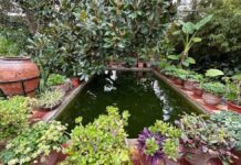 El Jardín-Huerto Villa María de Canjáyar se incorpora a los Cursos de Verano de la UAL como espacio de referencia