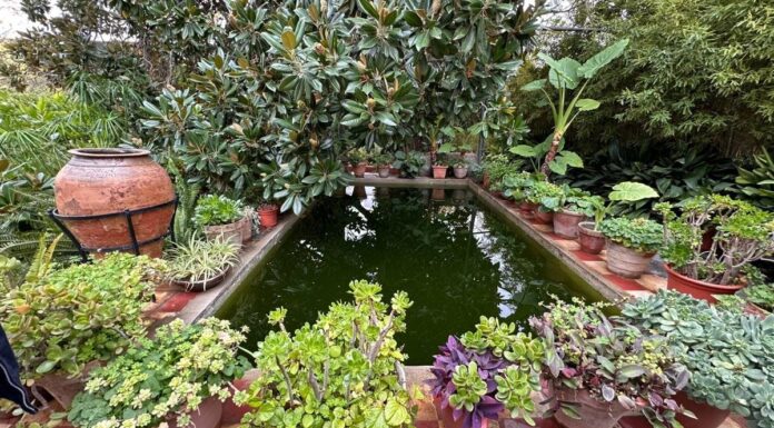 El Jardín-Huerto Villa María de Canjáyar se incorpora a los Cursos de Verano de la UAL como espacio de referencia