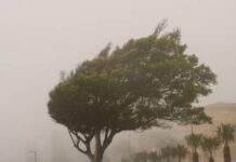 Alerta amarilla por viento este jueves en la comarca del Andarax