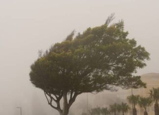 Alerta amarilla por viento este jueves en la comarca del Andarax