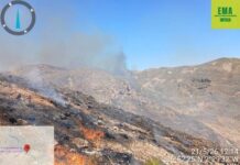 Declarado un incendio forestal en la sierra de Gádor