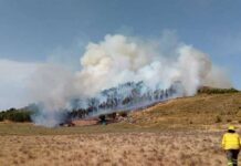 El fin de semana deja más fuego en Almería: controlado un nuevo incendio en Laujar de Andarax