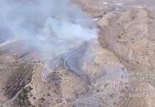 Un incendio forestal en Santa Fe de Mondújar obliga a suspender temporalmente el tráfico ferroviario