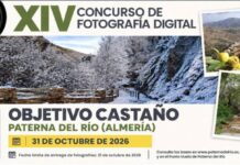 Paterna del Río convoca una nueva edición del concurso fotográfico ‘Objetivo Castaño’
