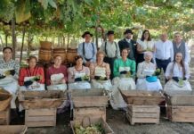 Terque revive más de 37 oficios antiguos en una jornada dedicada a las tradiciones y la memoria popular