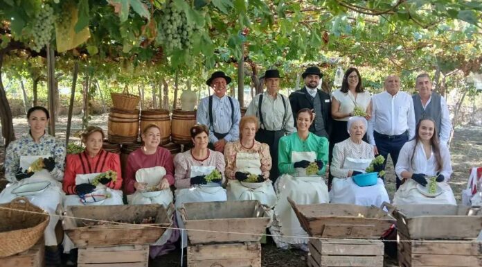 Terque revive más de 37 oficios antiguos en una jornada dedicada a las tradiciones y la memoria popular